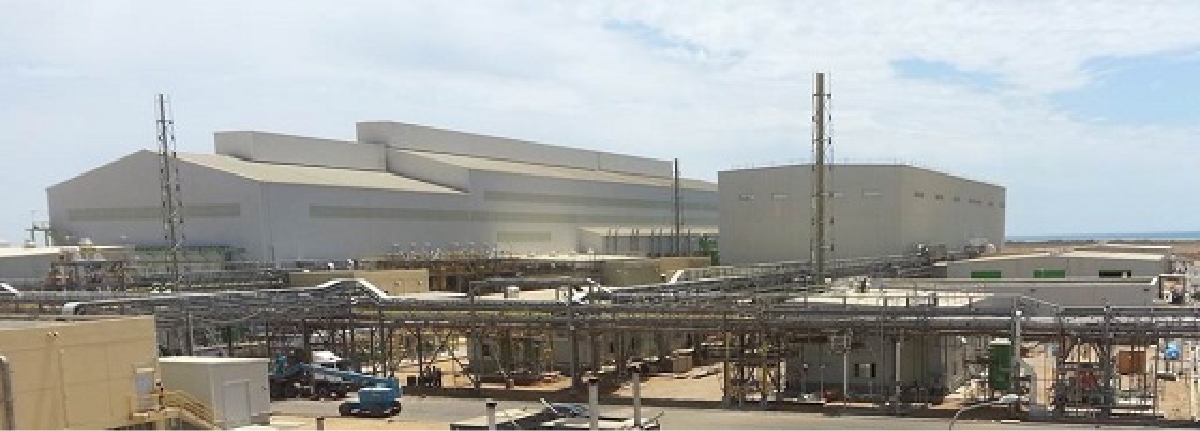サウジアラビアの新工場（ヤンブー）